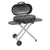Coleman RoadTrip 285 Portable Stand Up Propane Grill [2000033052]